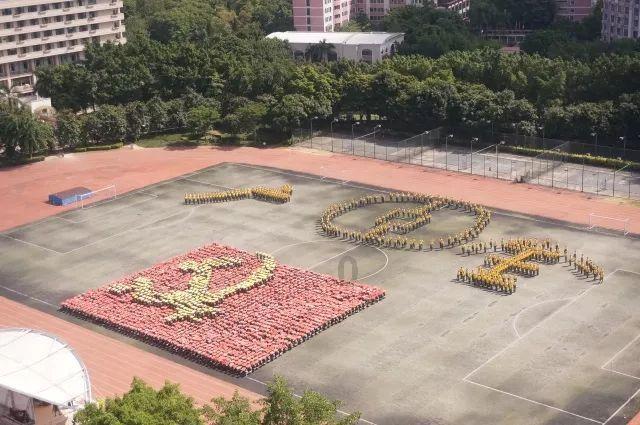 营救小乌龟